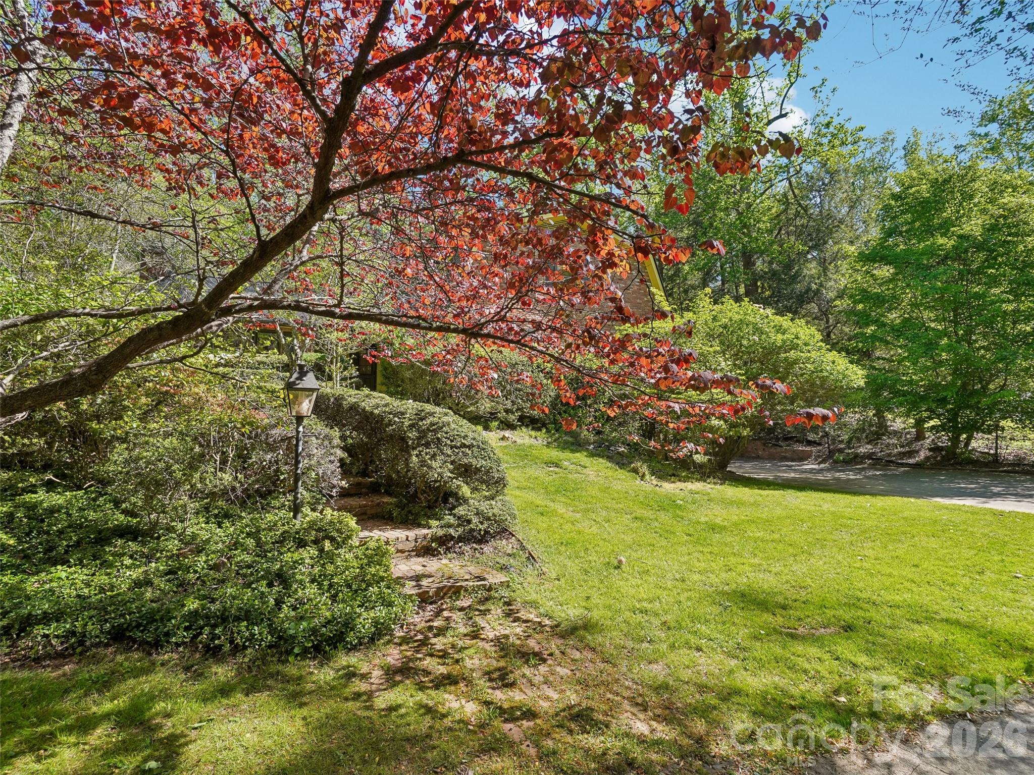 114 Overlook Road Asheville, NC 28803 - Photo 5 of 41