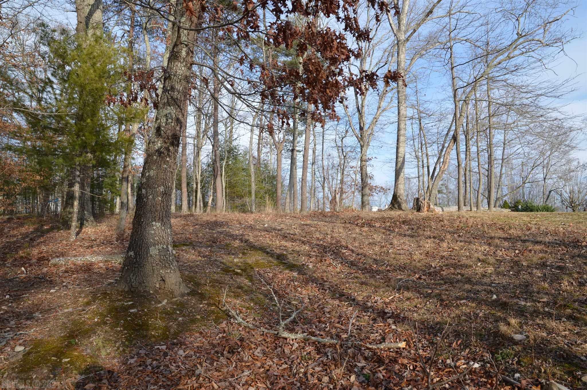 2201 Shale Road Blacksburg, VA 24060 - Photo 7 of 12 Gallery Image 7