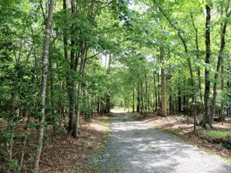 5616 Willet Road Durham, NC 27705 - Photo 23 of 25 Photo 23