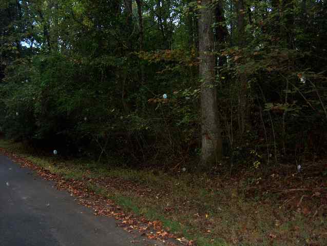 0 Hagood Road Cleveland, SC 29635 - Photo 1 of 3