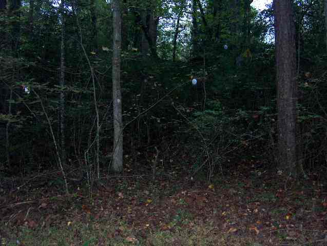 0 Hagood Road Cleveland, SC 29635 - Photo 2 of 3