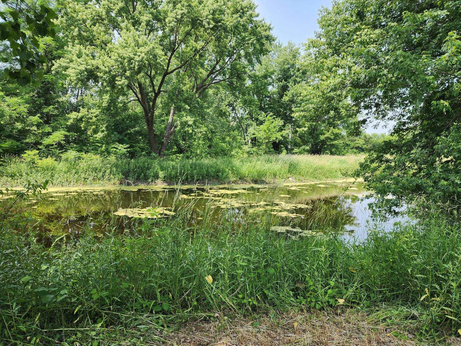 9903 Watterson Road Churubusco, IN 46723 - Photo 4 of 36