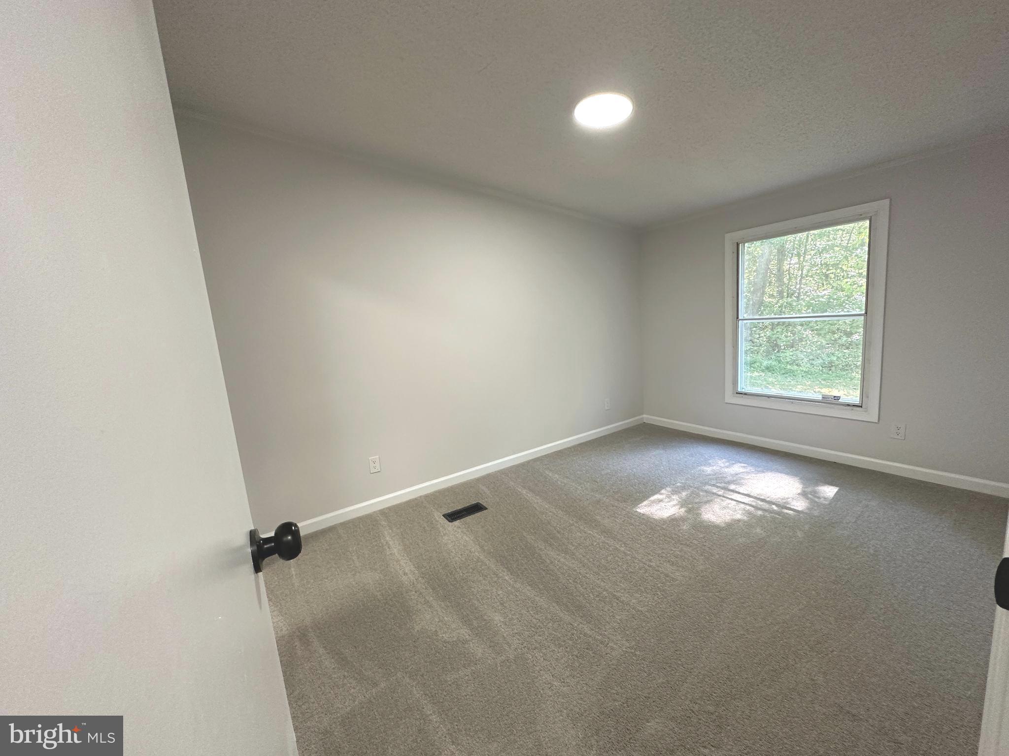 5318 Igo Road King George, VA 22485 - Photo 16 of 19 Gallery Image 16