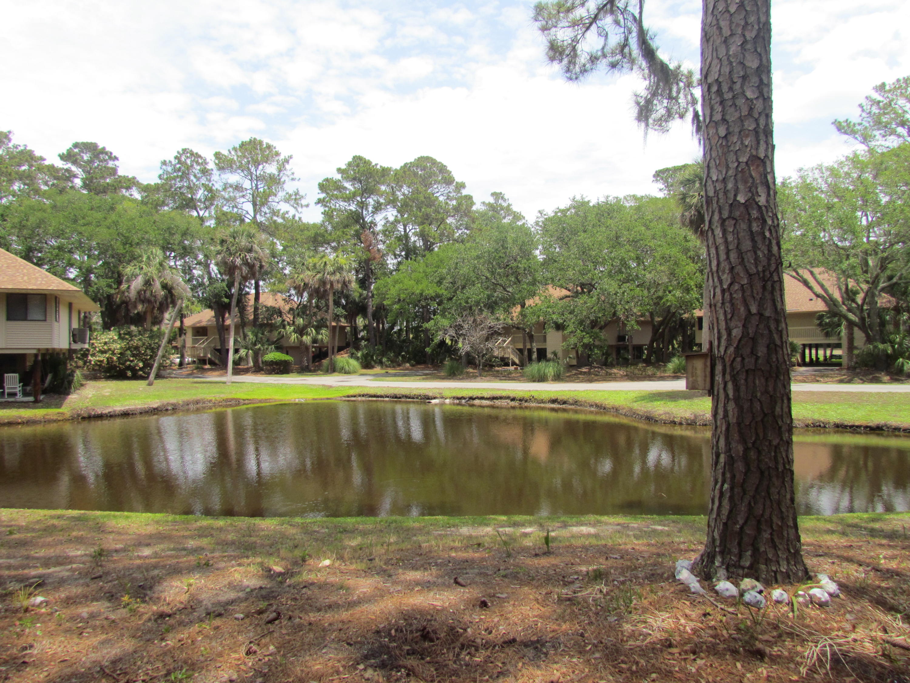 844 Club Cottage Road Edisto Beach, SC 29438 - Photo 30 of 49 IMG_1644