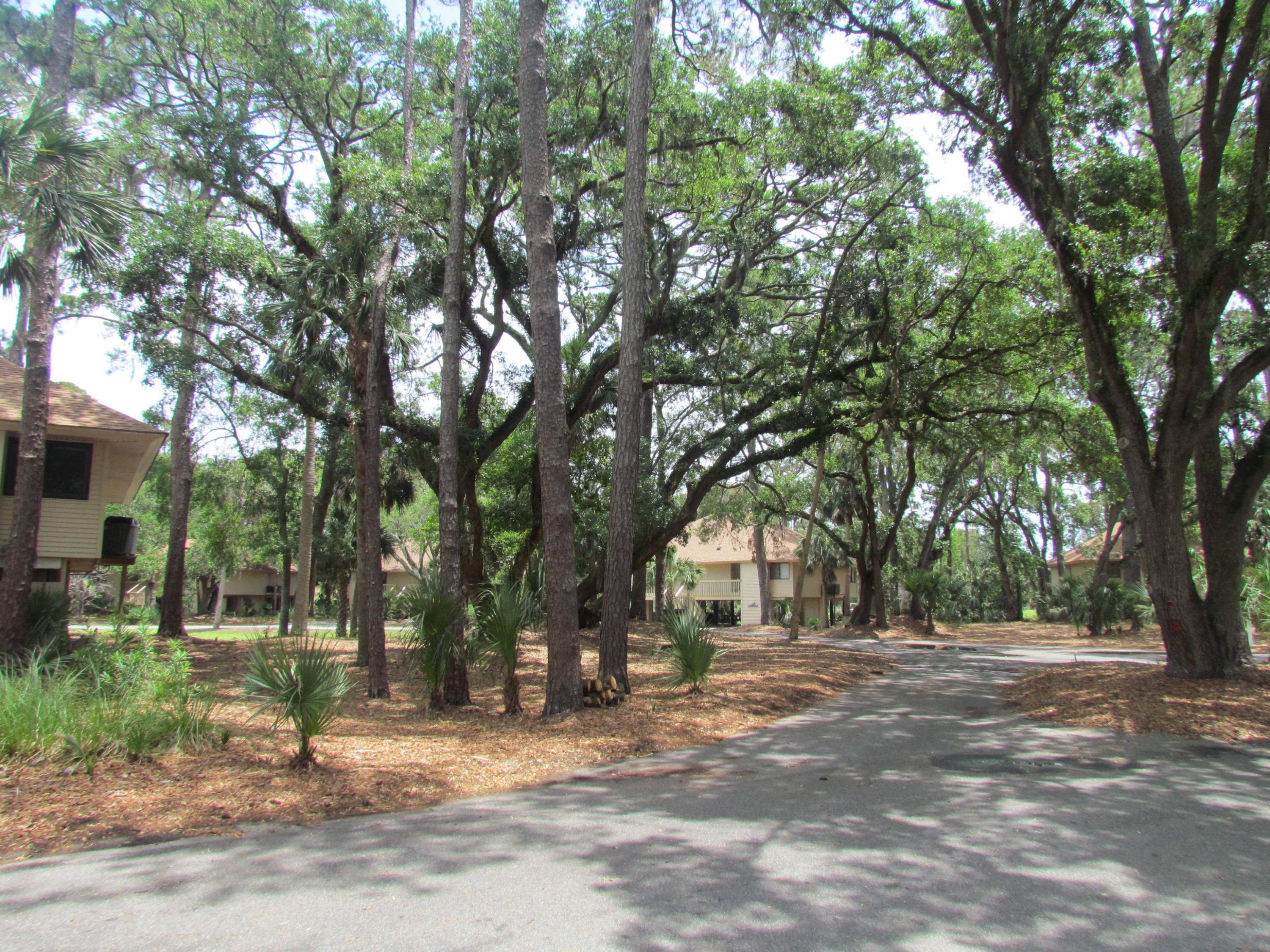 844 Club Cottage Road Edisto Beach, SC 29438 - Photo 32 of 49 IMG_1646