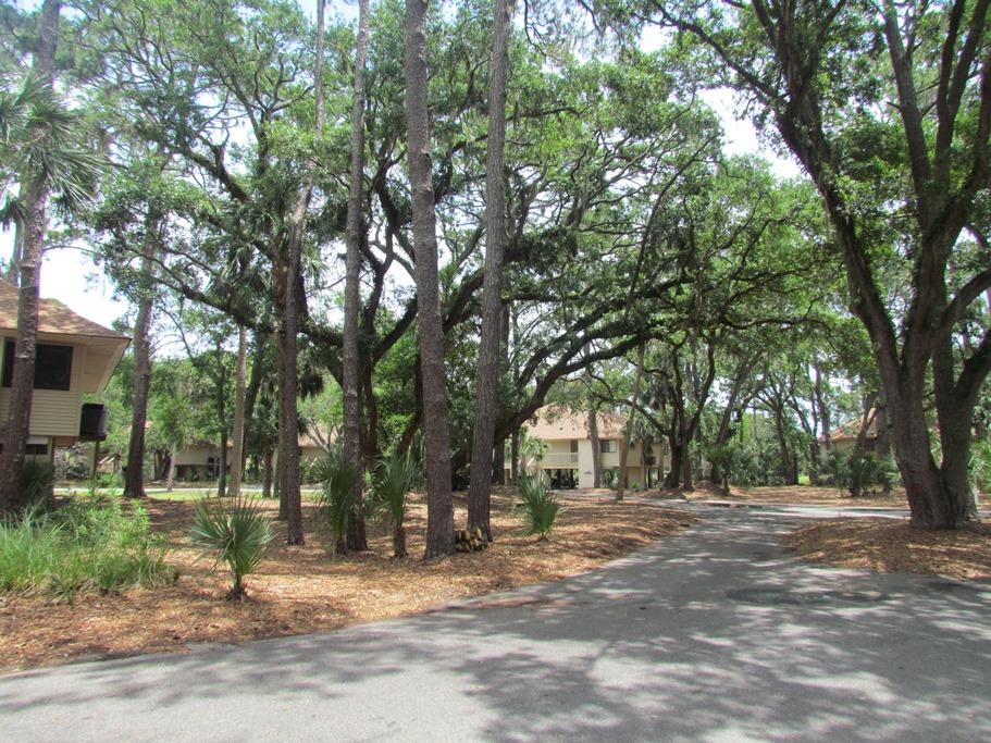 844 Club Cottage Road Edisto Beach, SC 29438 - Photo 41 of 49 down club cottage rd