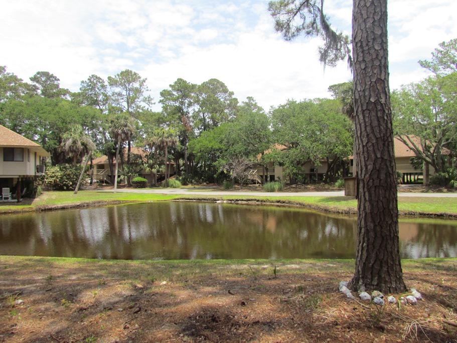 844 Club Cottage Road Edisto Beach, SC 29438 - Photo 42 of 49 pond