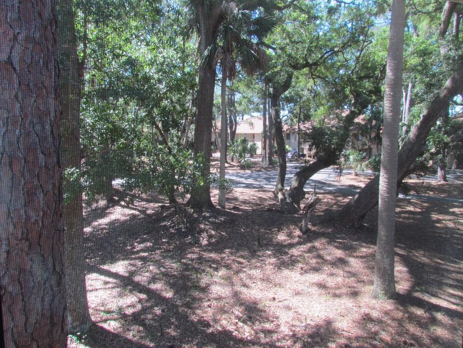 844 Club Cottage Road Edisto Beach, SC 29438 - Photo 46 of 49 view