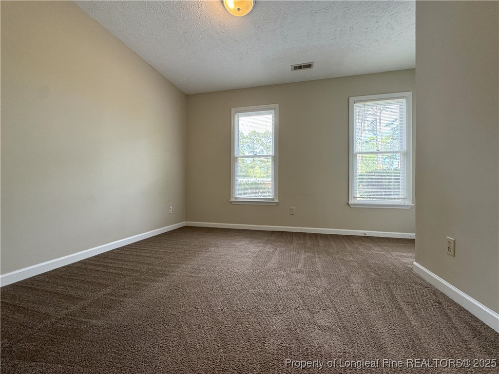 289 Wallace McLean Road Raeford, NC 28376 - Photo 22 of 27 Gallery Image 22
