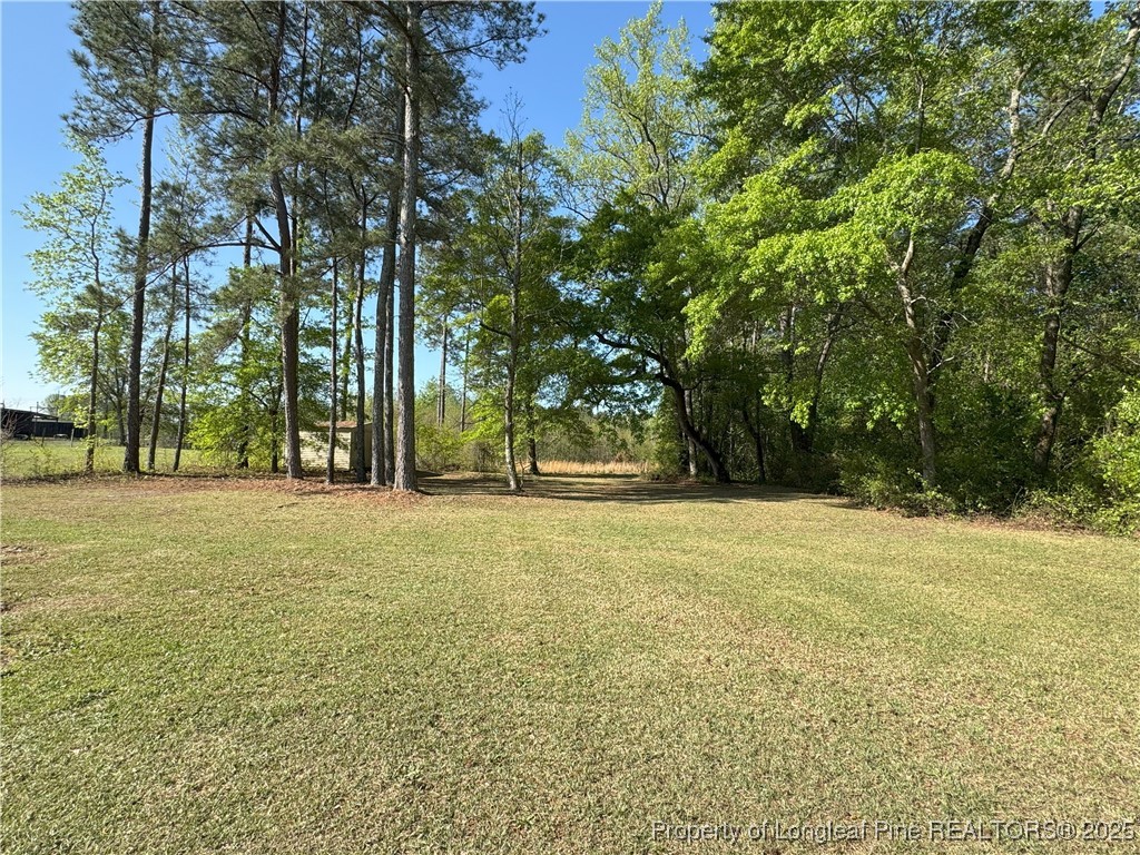 289 Wallace McLean Road Raeford, NC 28376 - Photo 4 of 27 Gallery Image 4