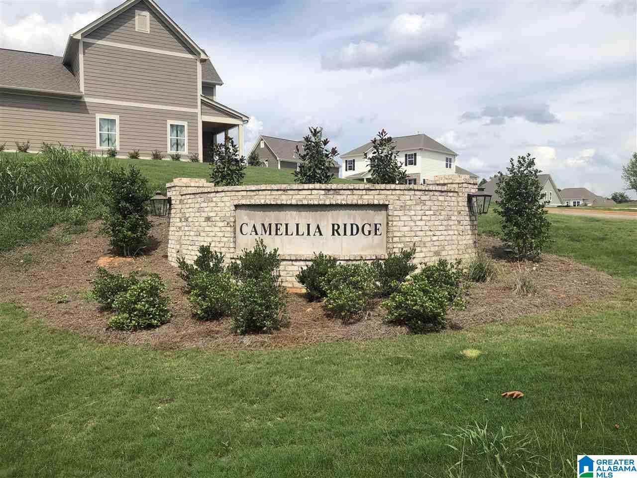 1193 Camellia Ridge Drive Pelham, AL 35124 - Photo 30 of 33
