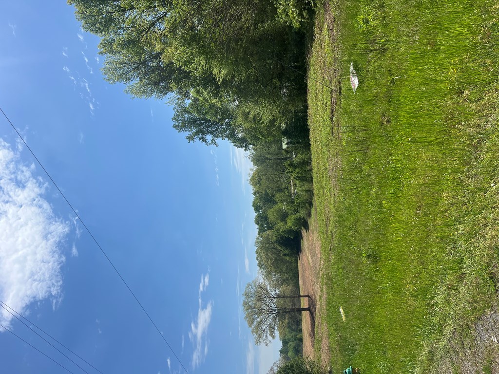 0 Hill Road Dalton, GA 30720 - Photo 6 of 6