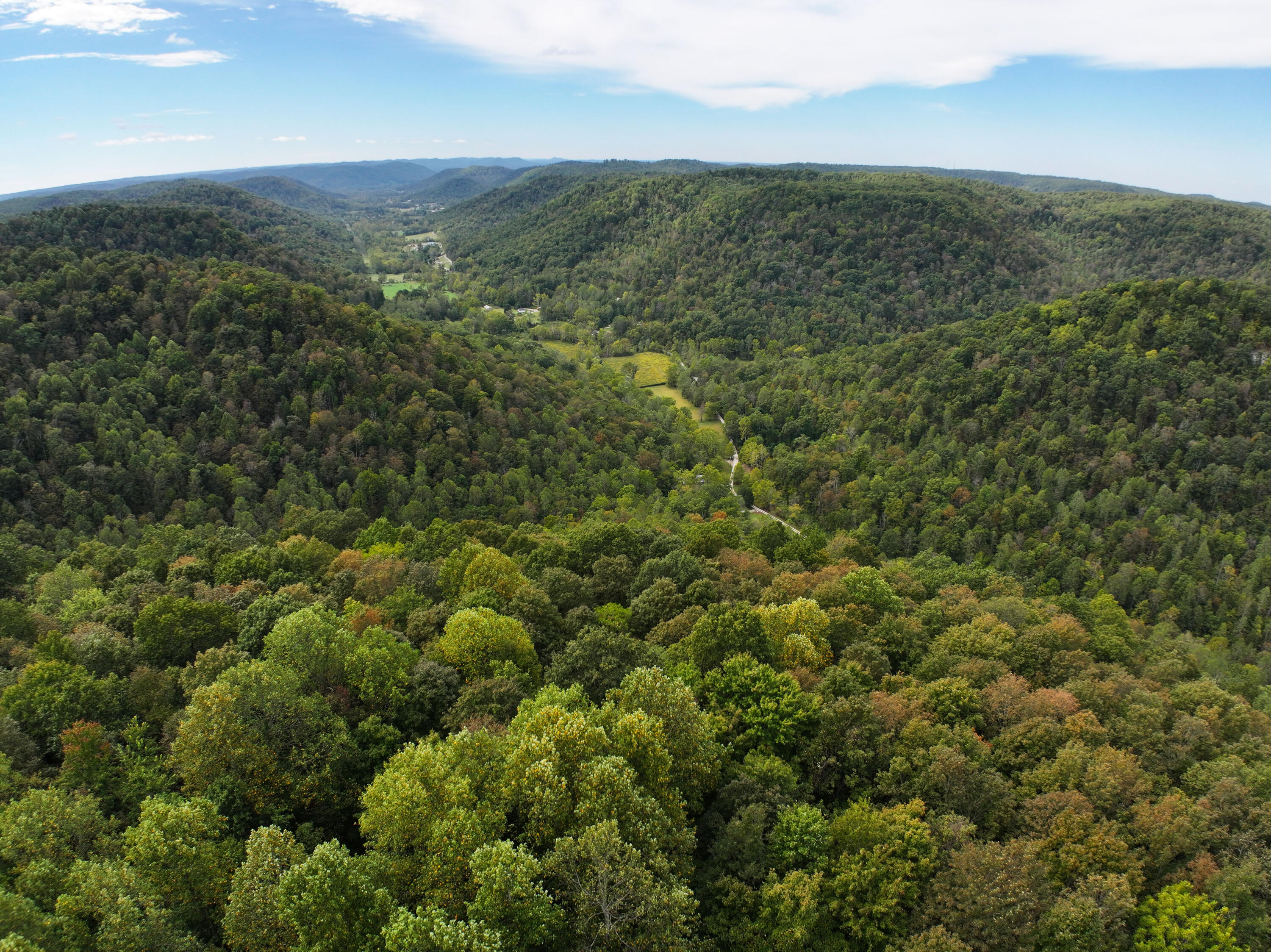 1351 Furnace Junction Road Ravenna, KY 40472 - Photo 12 of 61 Looking down the valley!
