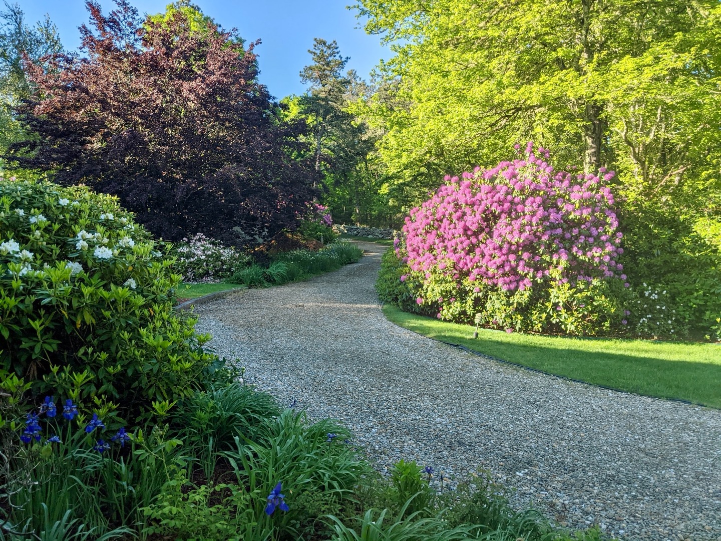 26 Bijah's Way Chilmark, MA 02535 - Photo 2 of 25