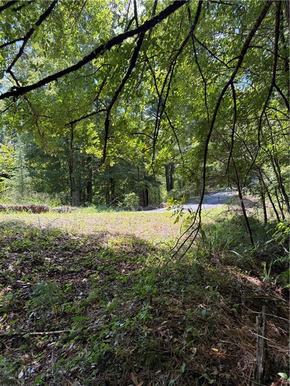 1707 Rebekah Ridge Road Talking Rock, GA 30175 - Photo 9 of 12 Gallery Image 9