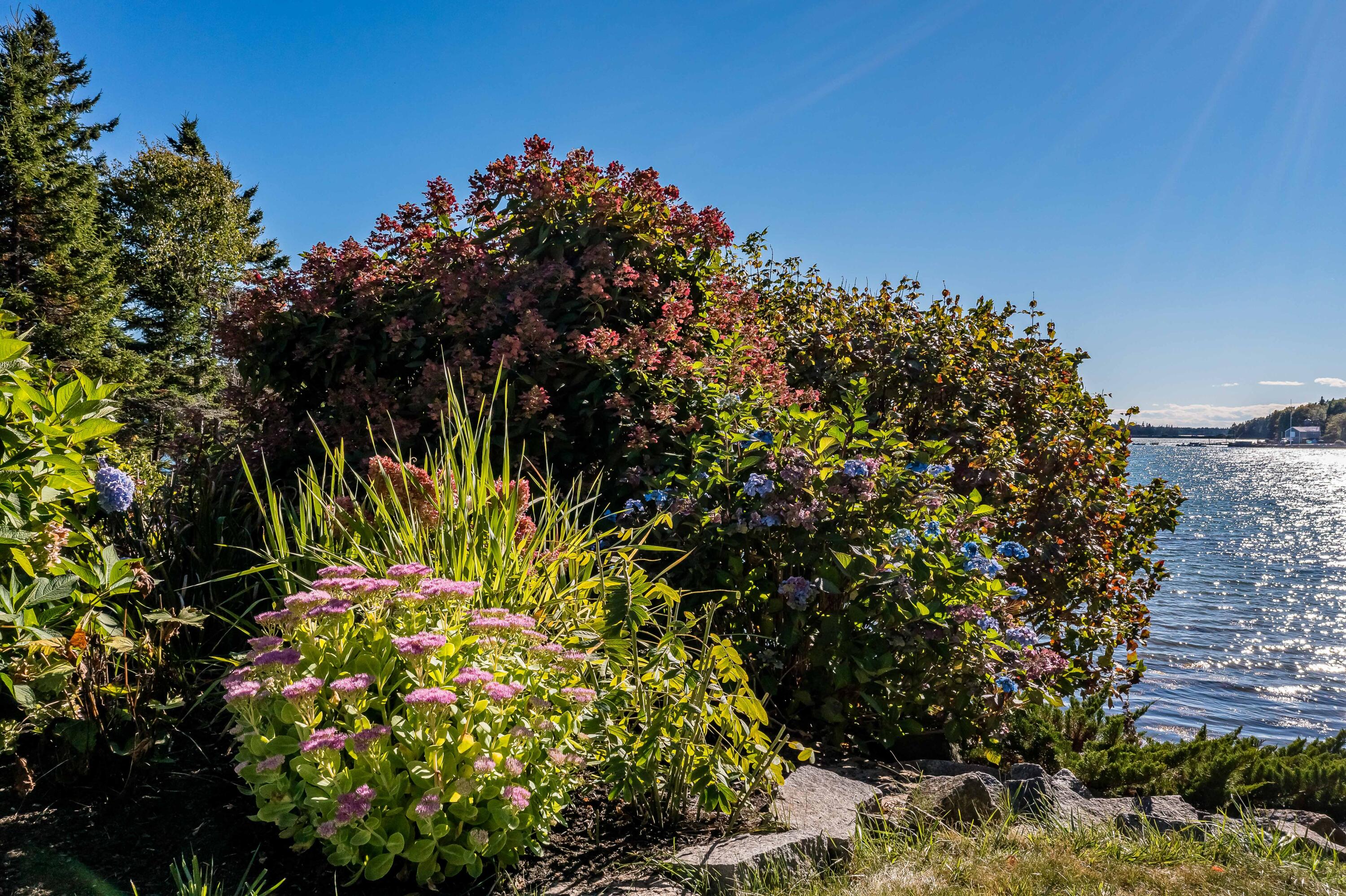 126 Patten Point Road Spruce Head, ME 04859 - Photo 62 of 64 Waterside Perennials