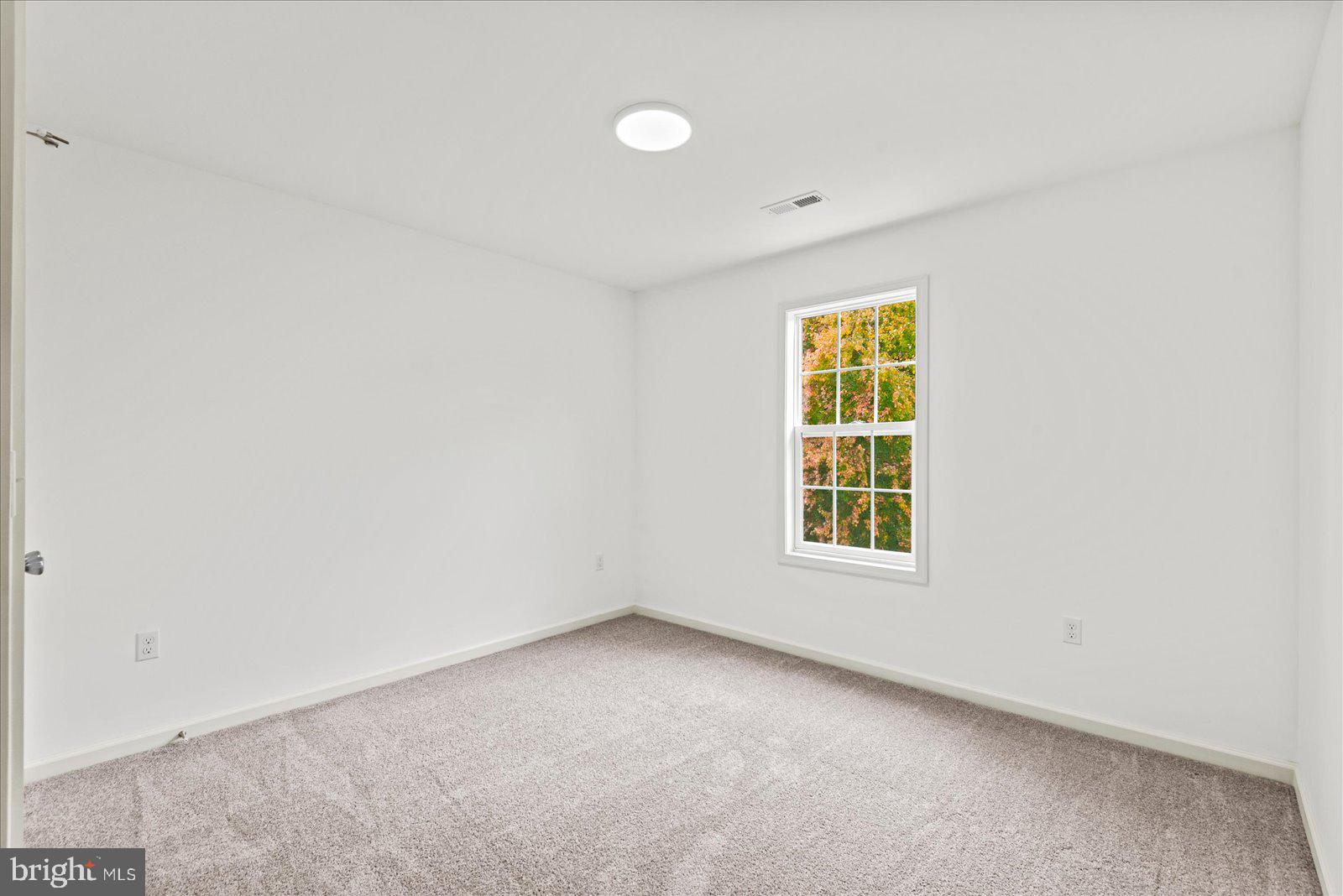 914 Old Rixeyville Road Culpeper, VA 22701 - Photo 22 of 47 2 Bedroom: Additional Bedroom