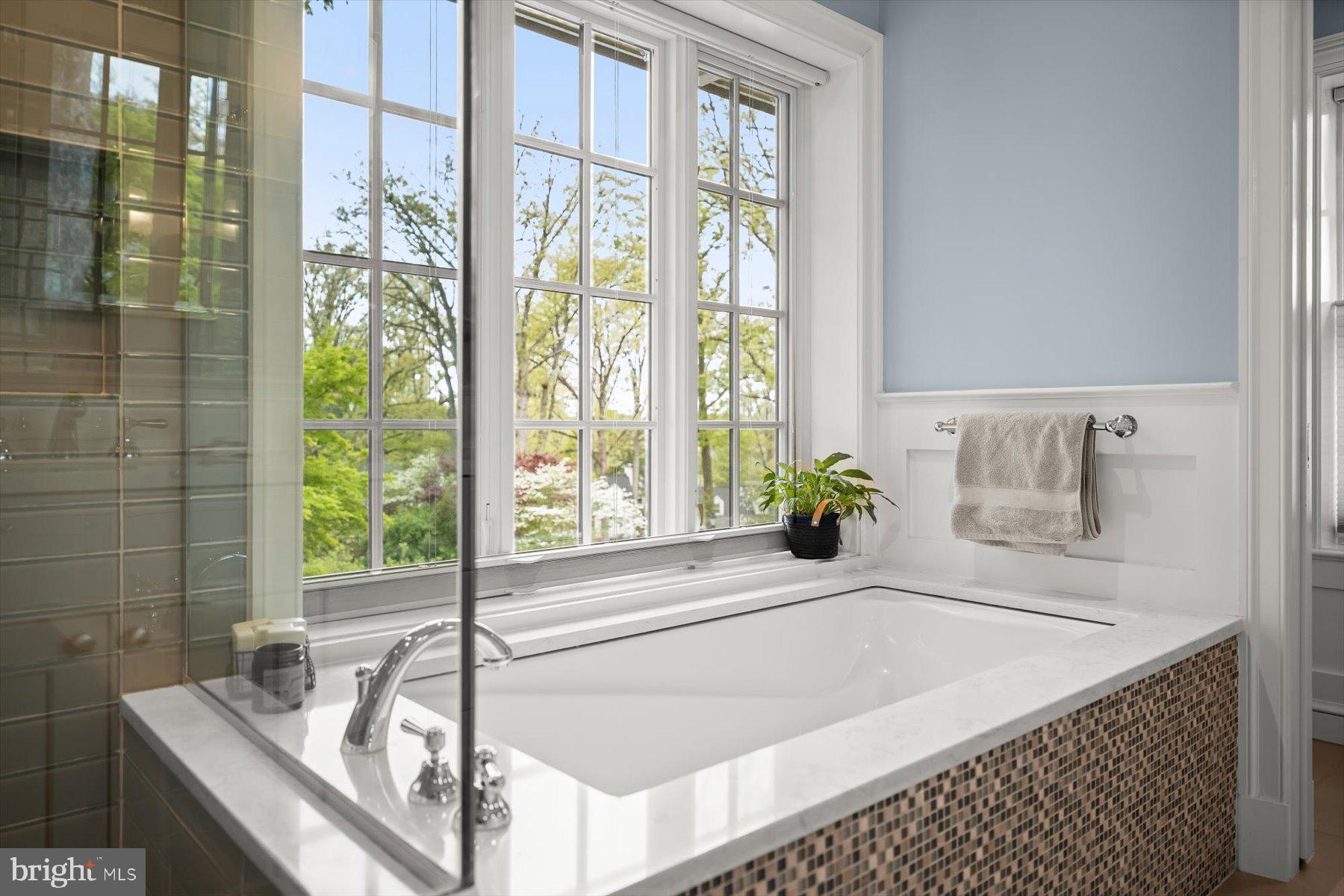 5532 14th Road North Arlington, VA 22205 - Photo 32 of 65 a bath tub sitting in a bathroom next to a window
