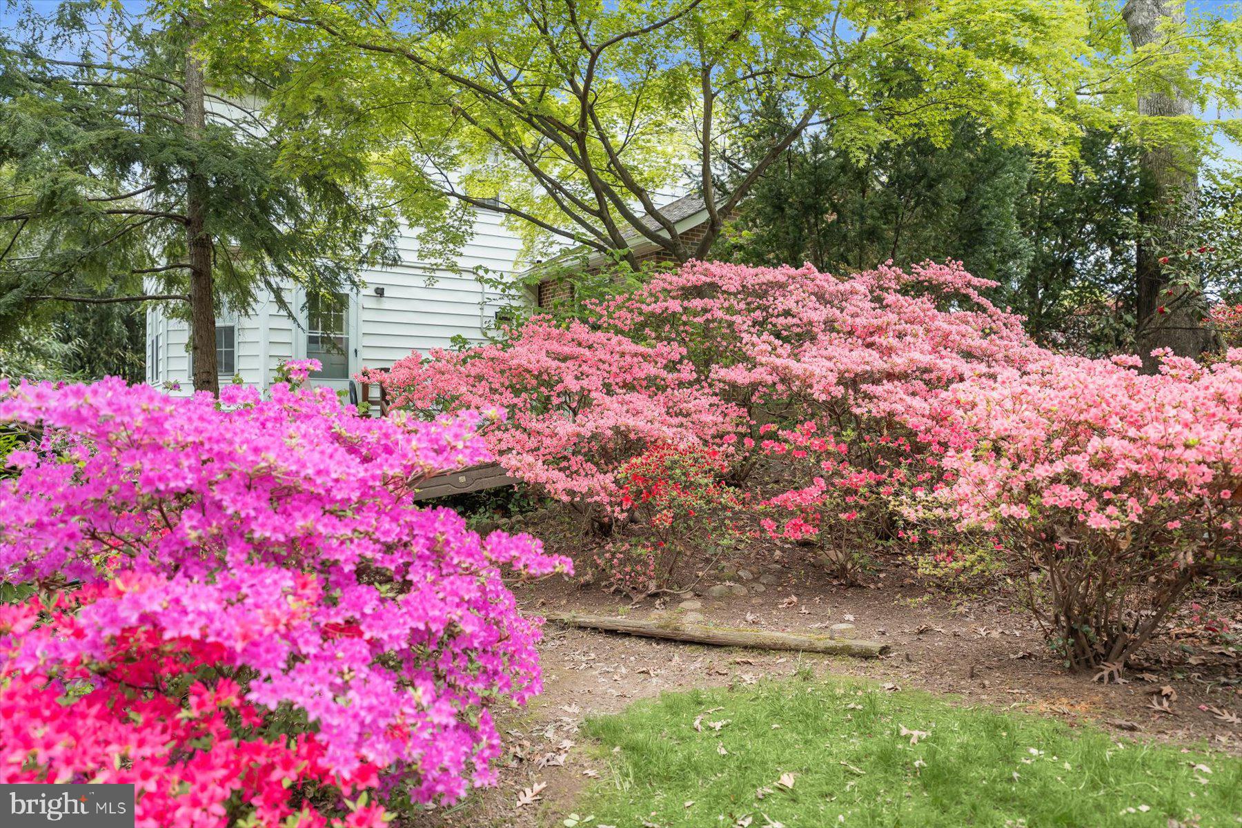 5532 14th Road North Arlington, VA 22205 - Photo 49 of 65 Gorgeous landscaping
