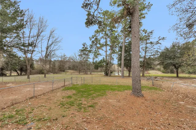 a view of a yard with trees