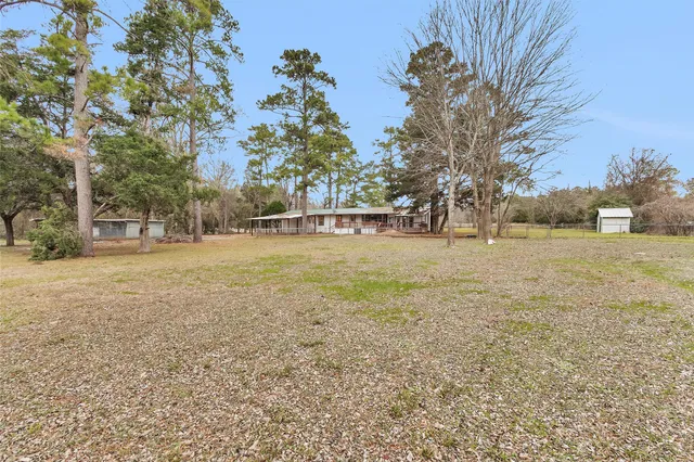 a view of a yard with a tree