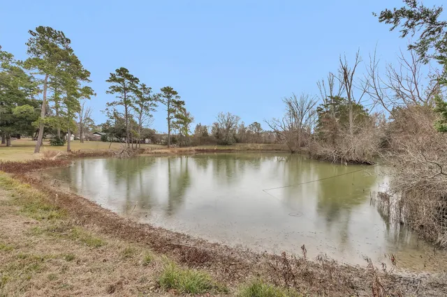an aerial view of mountain with trees