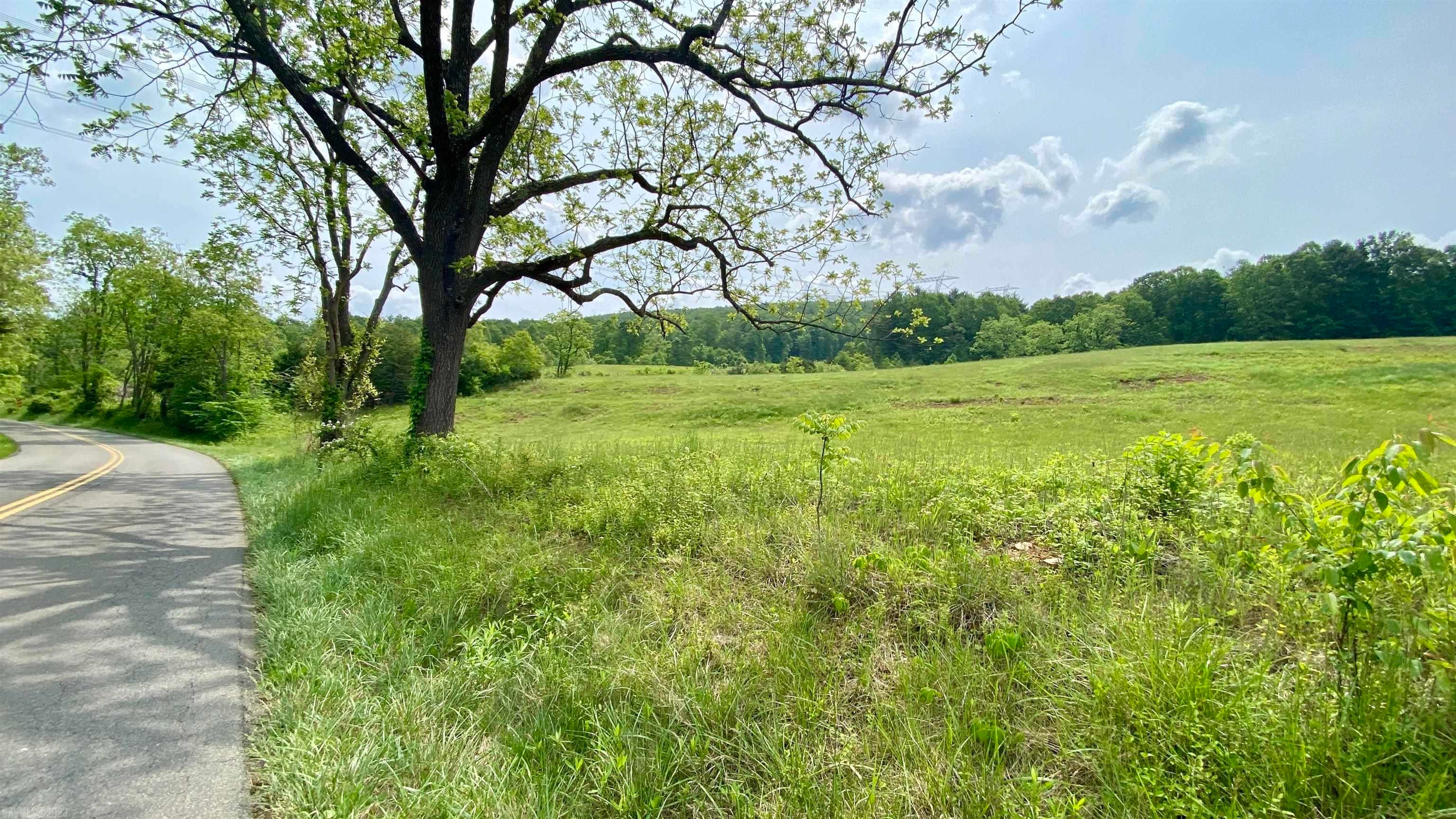 Tbd Castleton Road Max Meadows, VA 24360 - Photo 1 of 37 Gallery Image 1