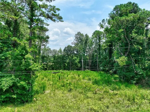 a view of yard with green space