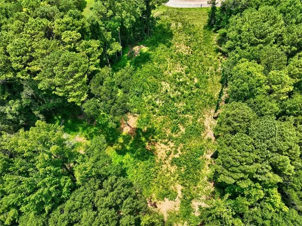 a view of a lush green forest