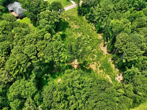 a view of a lush green forest with lots of trees