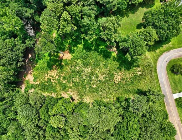 a view of a lush green forest