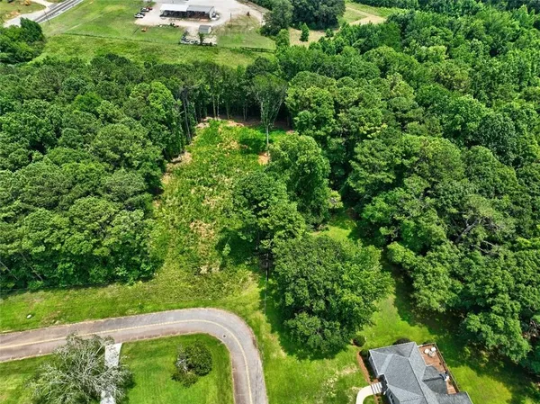 a view of a garden with a yard