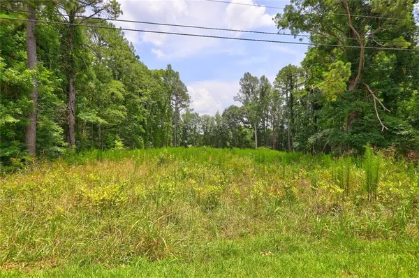 a view of a yard