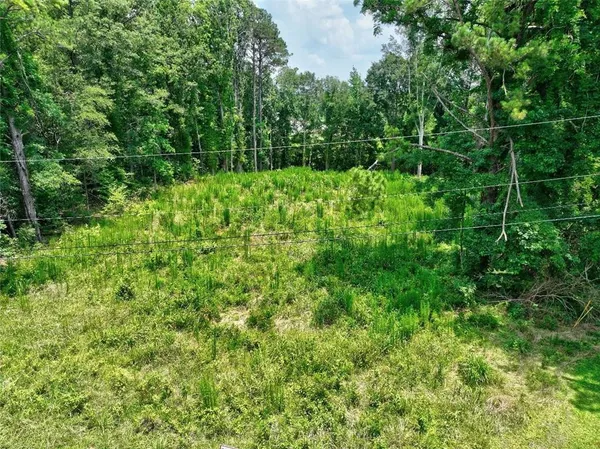 a view of a lush green forest