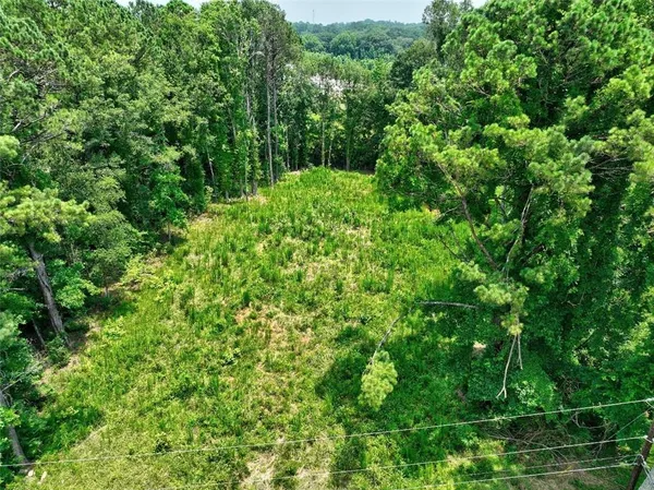 a view of a lush green forest