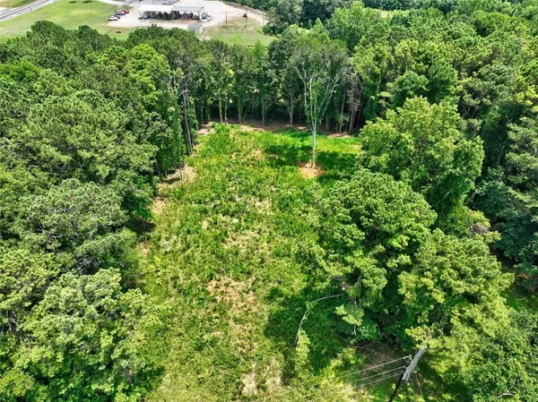 a view of a lush green forest