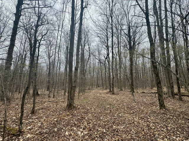 Lot 4 Shaver Hill Road Meridale, NY 13806 - Photo 18 of 44