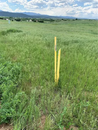 $14,900 | Columbine Street, Aguilar, CO 81020