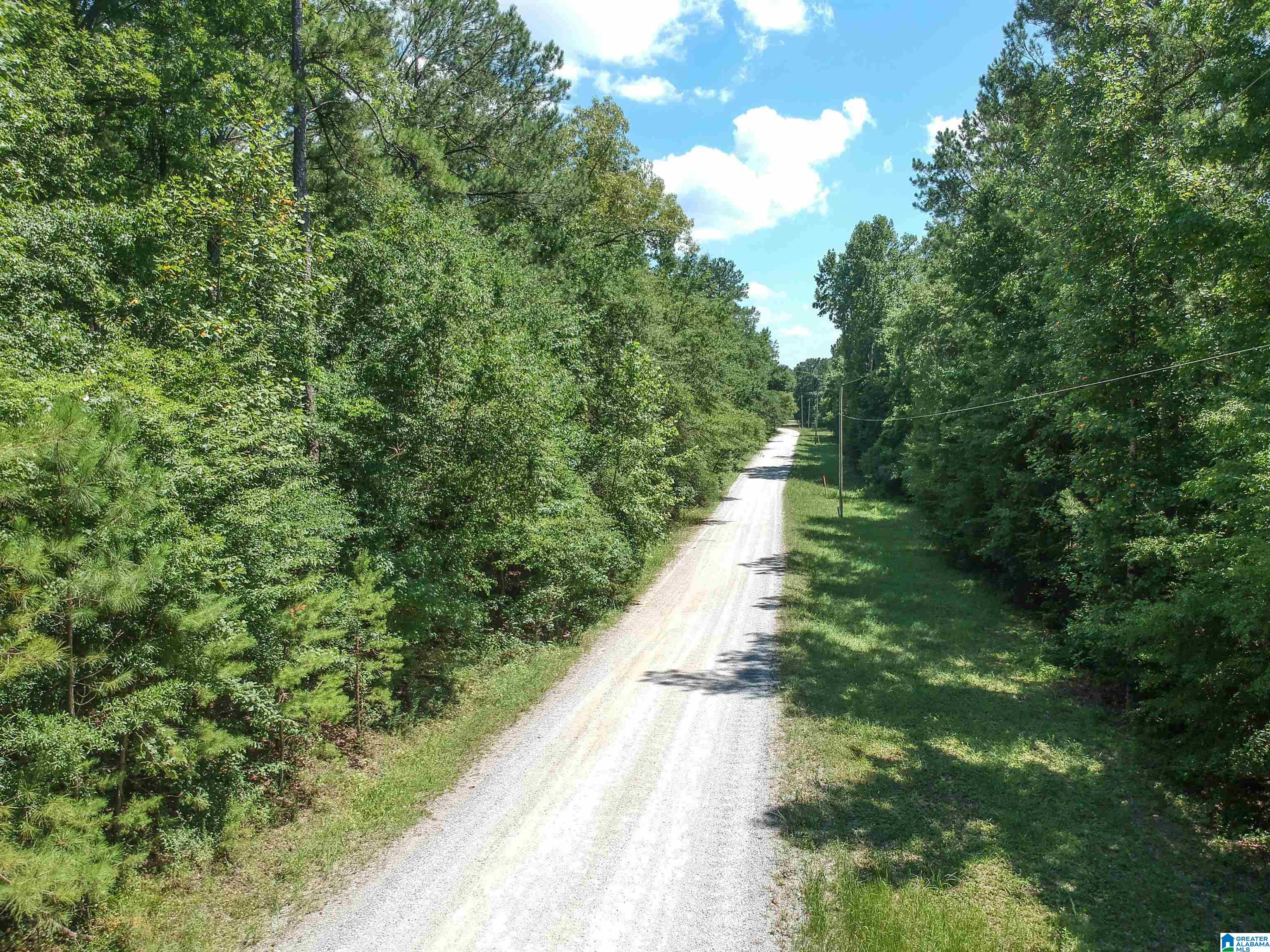 0 Upper Columbus Road Coker, AL 35452 - Photo 9 of 15