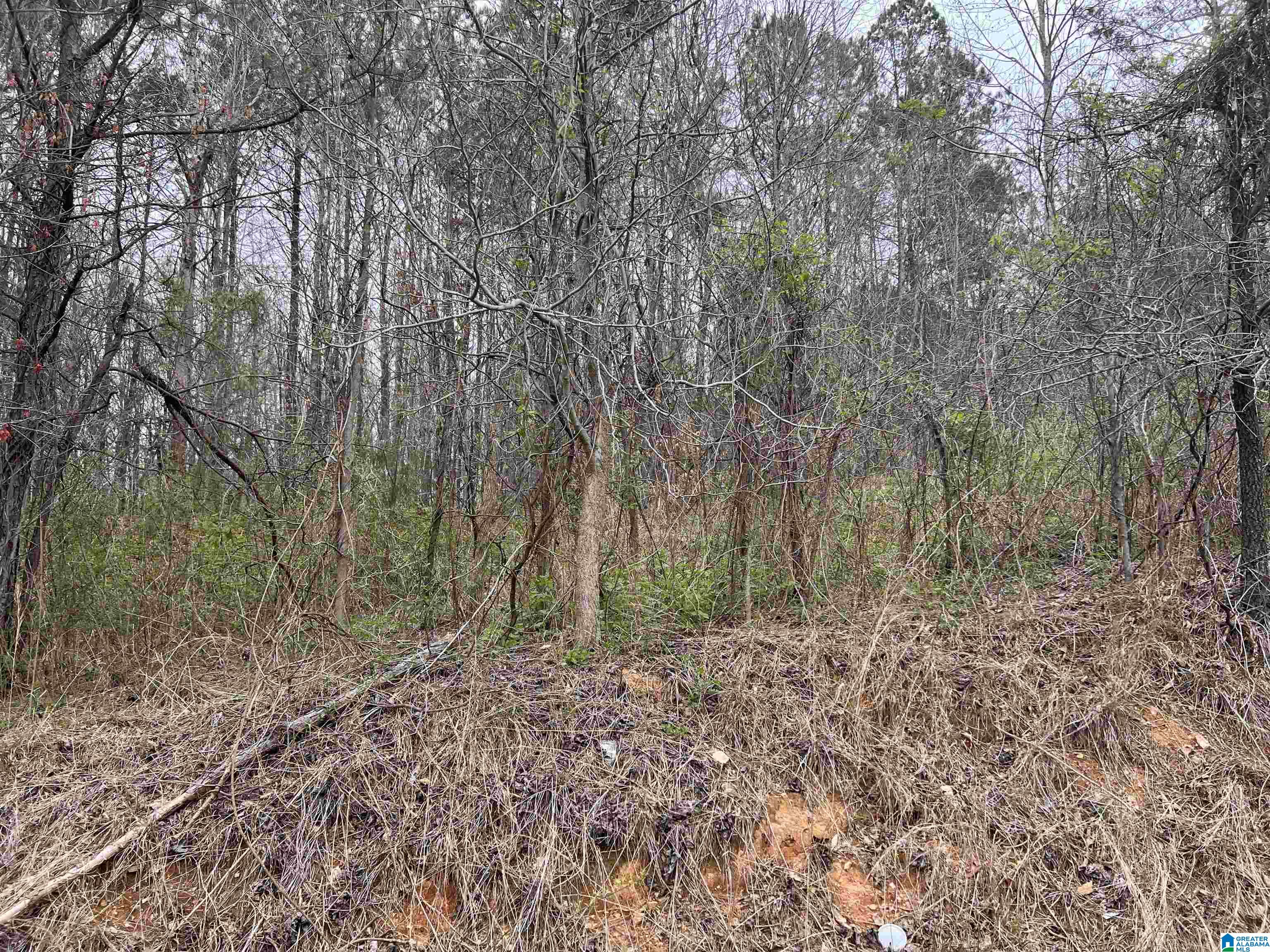 Lot A Southwest Heflin Al Southwest, Unit A Wedowee, AL 36278 - Photo 1 of 4