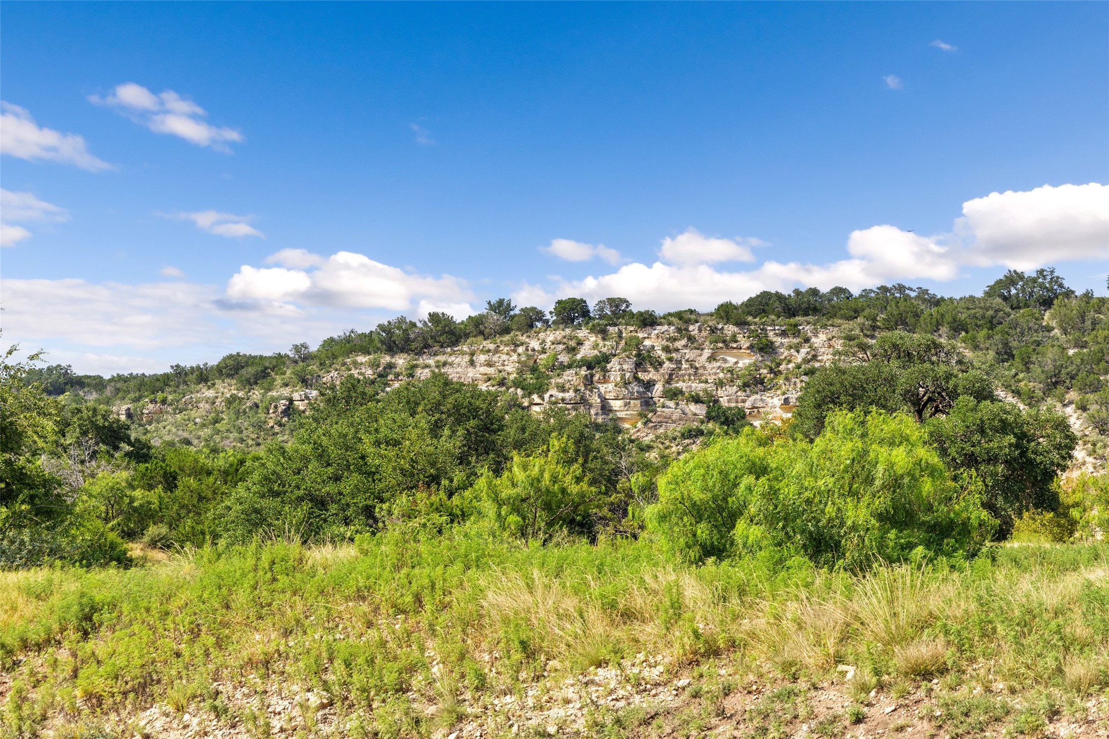 2915 Spring Crossing Junction, TX 76849 - Photo 24 of 31 Dramatic cliffside terrain and abundant natural flora characterize this expansive lot.