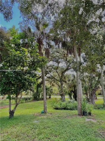 a huge green field with lots of trees