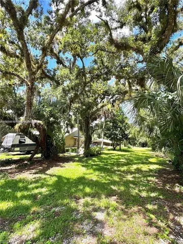 a view of a park with large trees