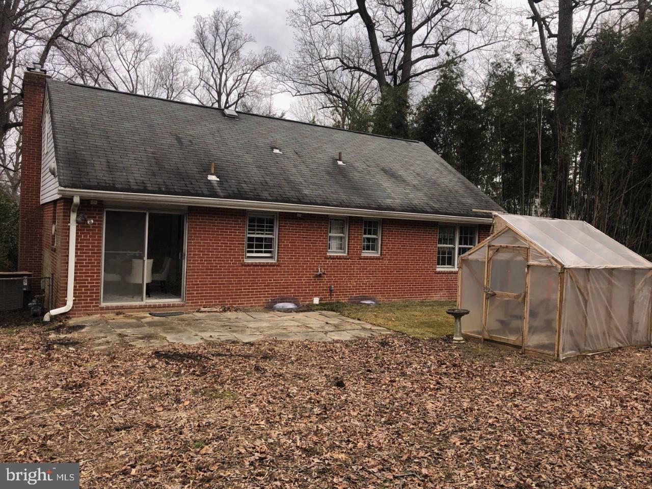 2916 Wilton Avenue Silver Spring, MD 20910 - Photo 27 of 45 VIEW OF PATIO OFF BACK OF HOUSE PLUS GREENHOUSE
