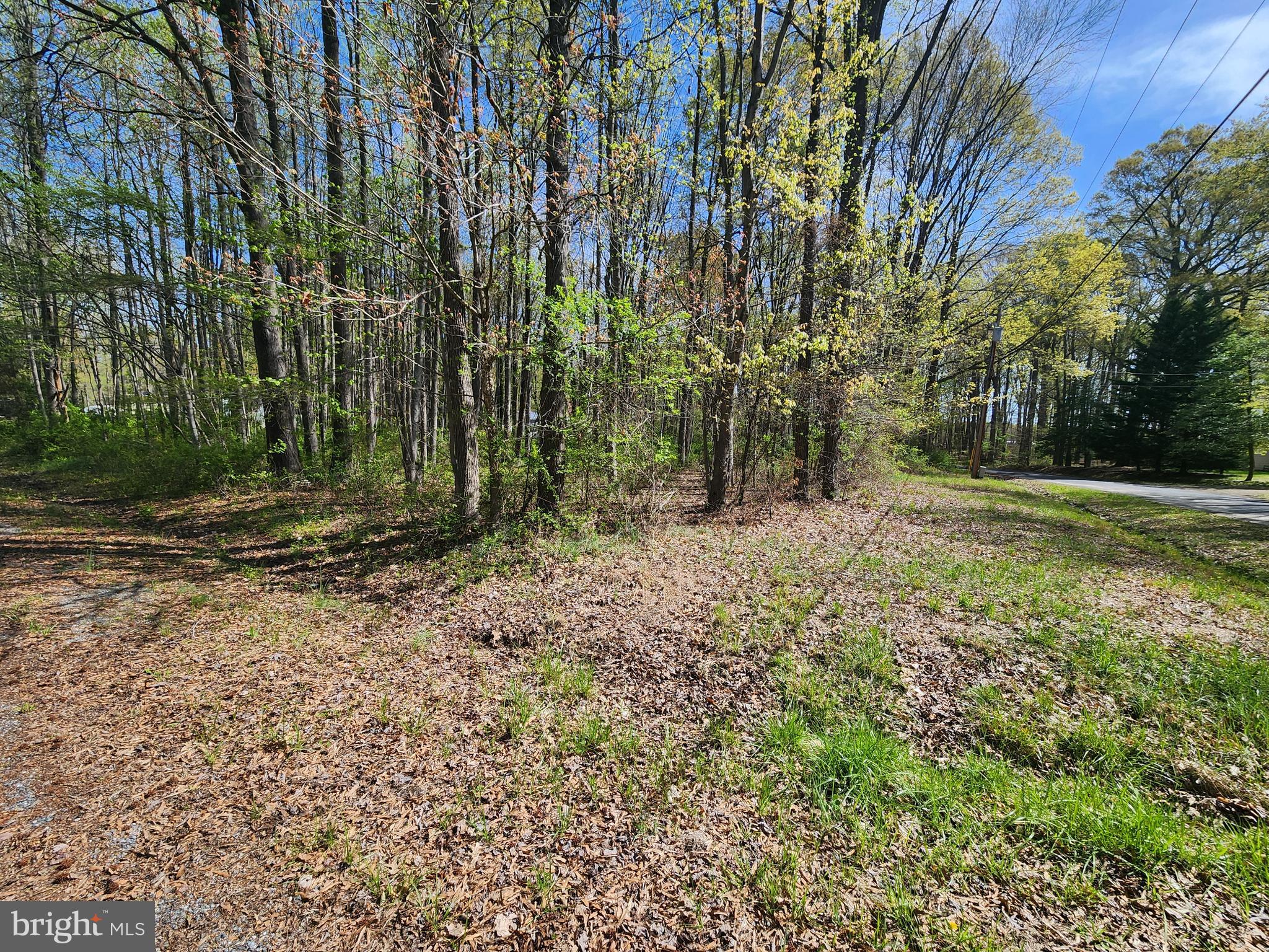 Bunting Road Chestertown, MD 21620 - Photo 3 of 4