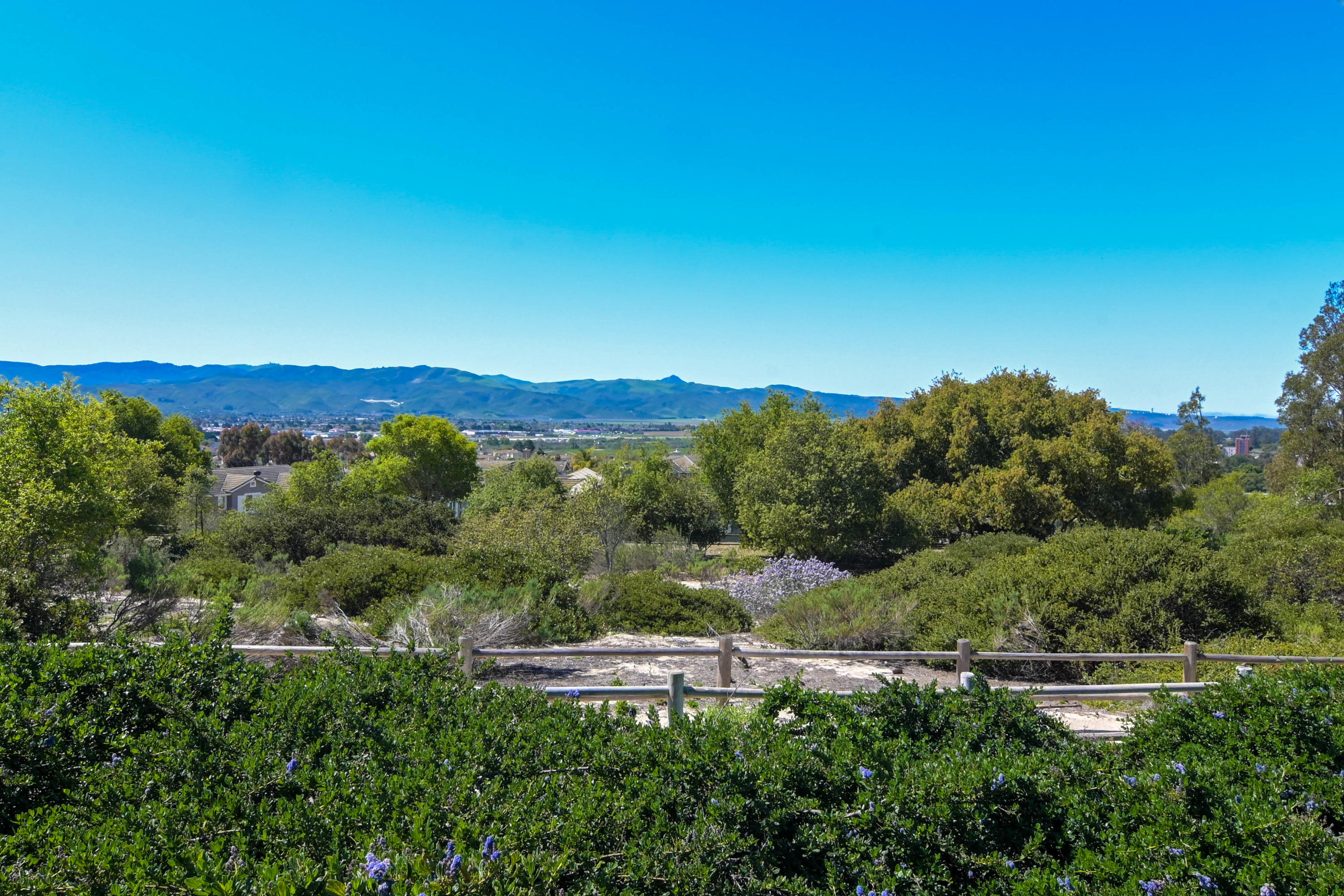 742 Tamarisk Drive Lompoc, CA 93436 - Photo 51 of 54 006_72980417