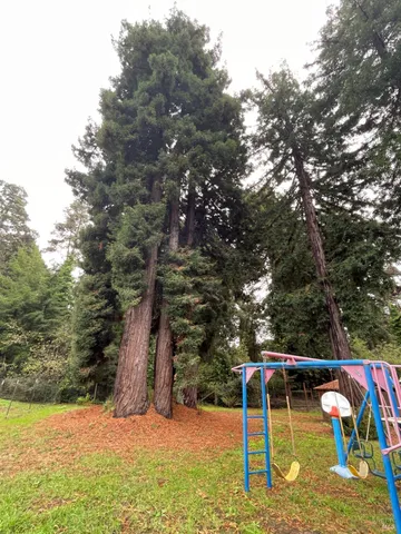 $720,000 | 14875 Atkins Way, Fort Bragg, CA 95437