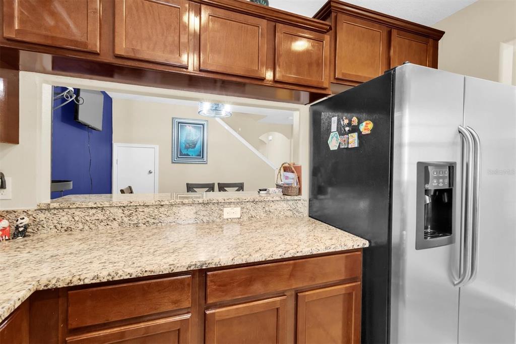 9782 Trumpet Vine Loop Trinity, FL 34655 - Photo 5 of 29