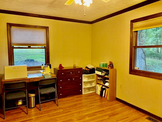 5114 Cottage Road Blackstone, VA 23824 - Photo 40 of 59 Gallery Image 40