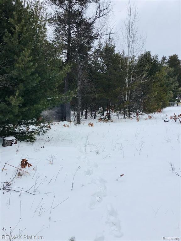 9871 West Carter Road St. Helen, MI 48656 - Photo 3 of 5